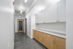 29394645