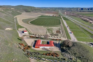 29394658