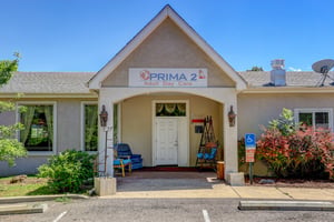29395063