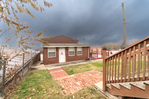 29395436