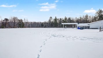 29434737