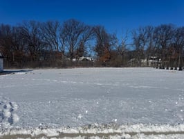 29454357