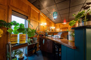 29555664