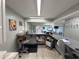 29398680