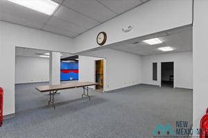 29399382