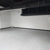 29400307