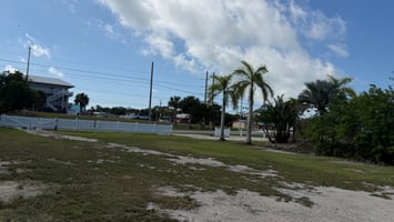29400467