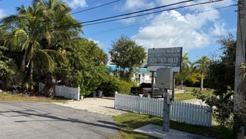 29400474