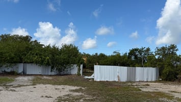 29400468