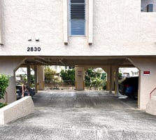 29400631