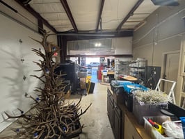 29403249