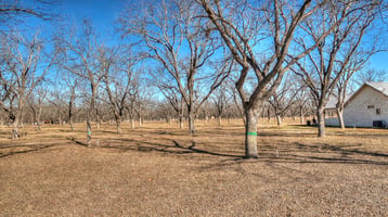 29404010