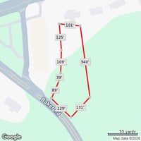 29405010