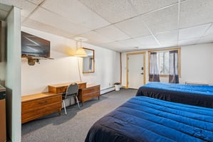 29405493