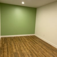 29413307