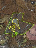 29428593
