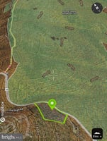 29428547