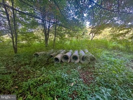 29433867