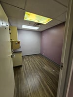 29432116