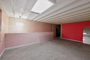 29436081
