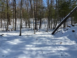 29436184