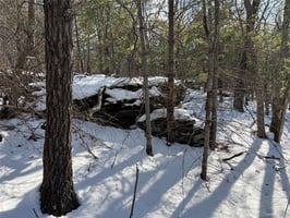 29436183