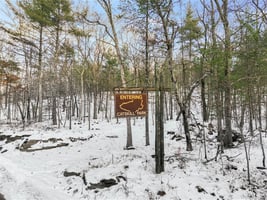 29436182