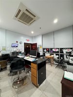 29436229