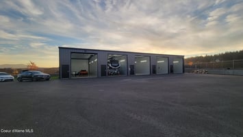 29436841