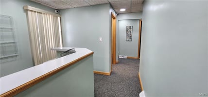 29437289