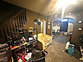 29437519