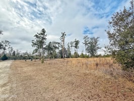 29438263