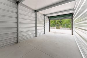 29441036