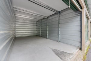 29441033
