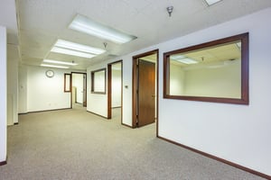 29441195