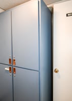 29445219