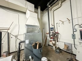 29683036