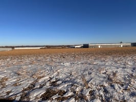 29442333