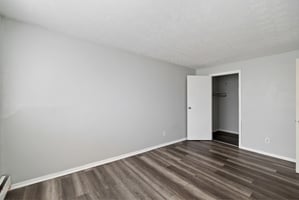 29446525