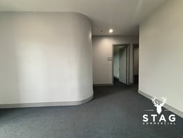 29442074