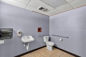 29442735