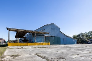 29443310