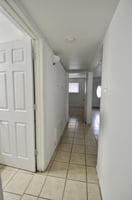 29443533