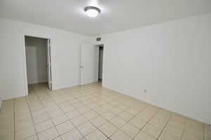 29443539