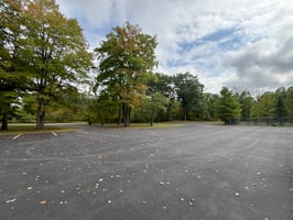 29445039