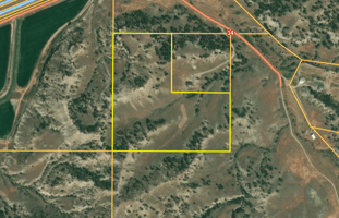 29445239