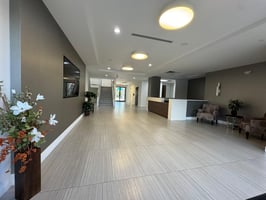 29445380
