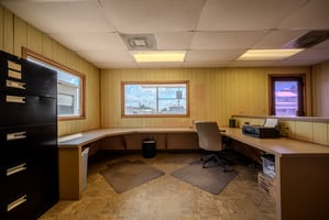 29446039