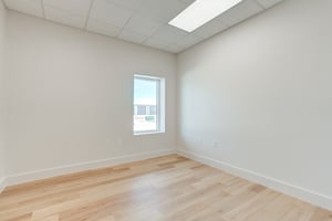 29445959