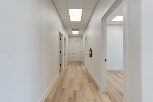 29445974